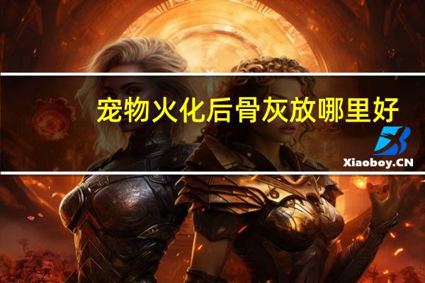 宠物火化后骨灰放哪里好
