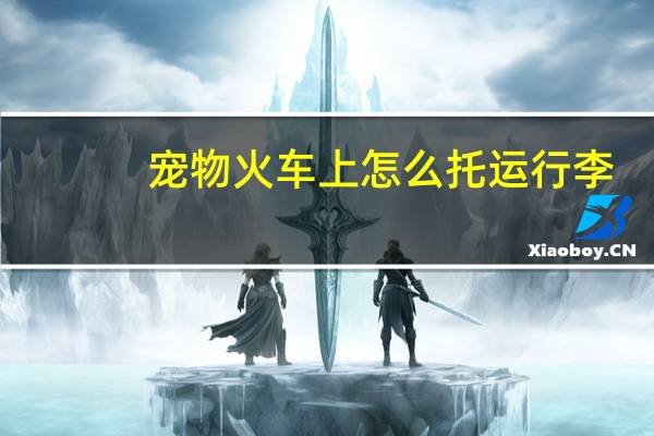 宠物火车上怎么托运行李
