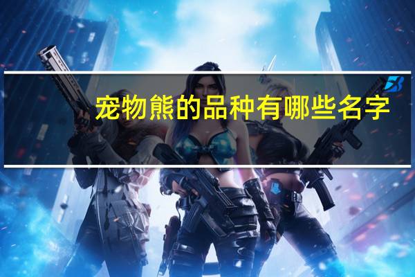 宠物熊的品种有哪些名字