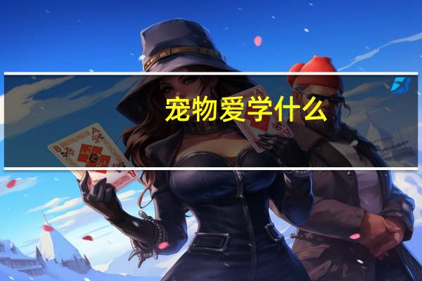 宠物爱学什么