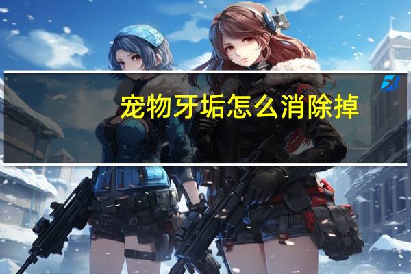 宠物牙垢怎么消除掉