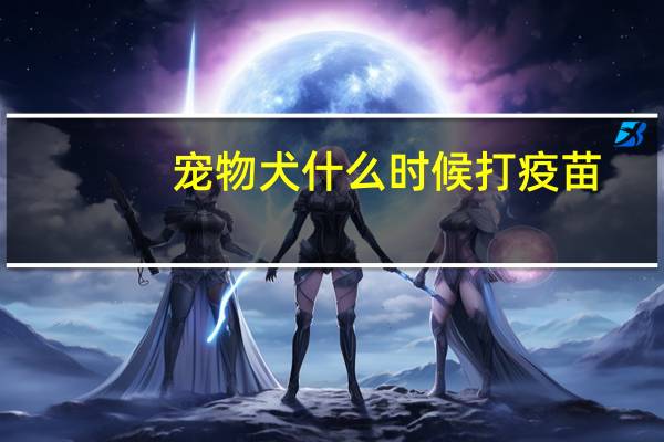 宠物犬什么时候打疫苗