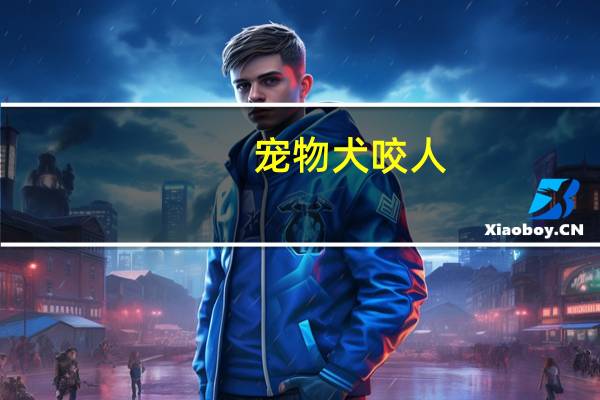 宠物犬咬人