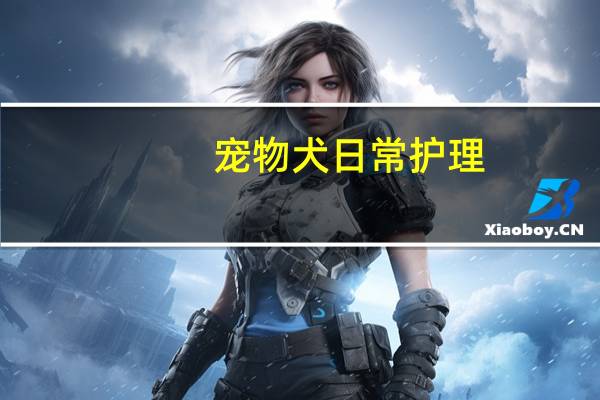 宠物犬日常护理