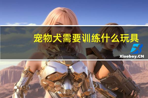 宠物犬需要训练什么玩具