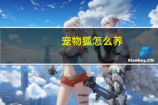宠物狐怎么养