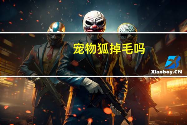 宠物狐掉毛吗