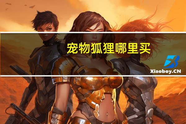 宠物狐狸哪里买