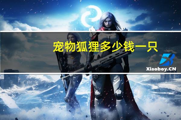 宠物狐狸多少钱一只