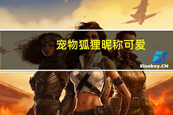 宠物狐狸昵称可爱