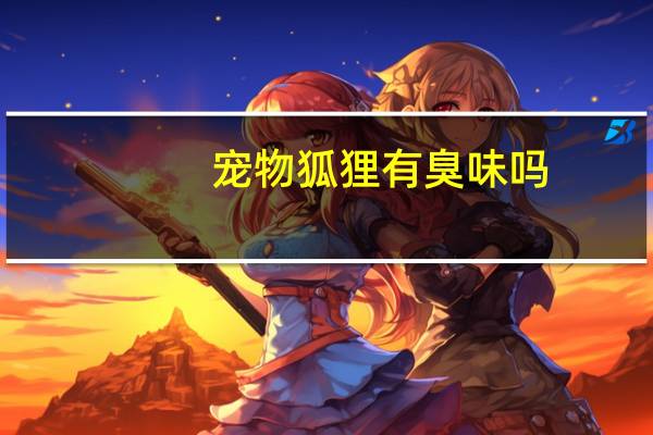 宠物狐狸有臭味吗