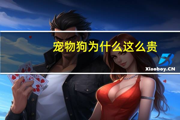 宠物狗为什么这么贵