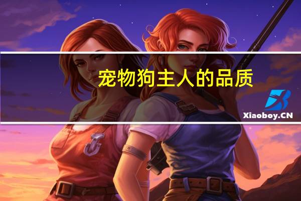 宠物狗主人的品质