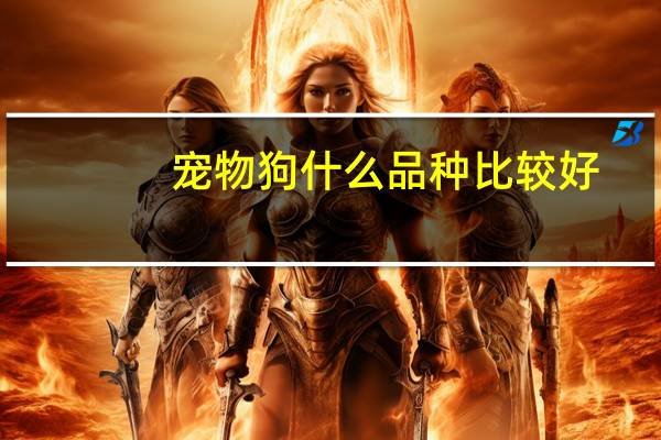 宠物狗什么品种比较好