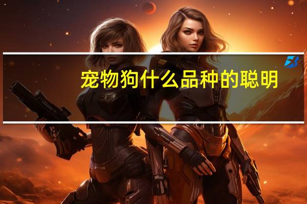 宠物狗什么品种的聪明
