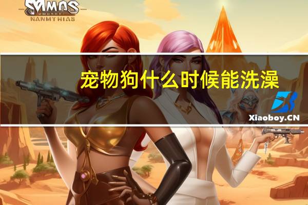 宠物狗什么时候能洗澡
