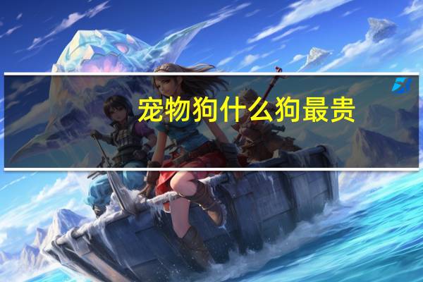 宠物狗什么狗最贵