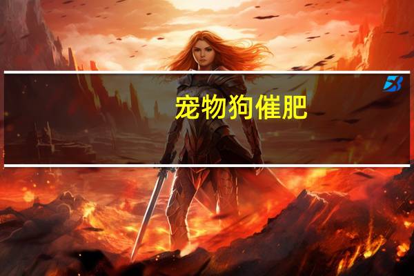 宠物狗催肥