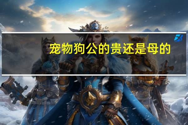 宠物狗公的贵还是母的
