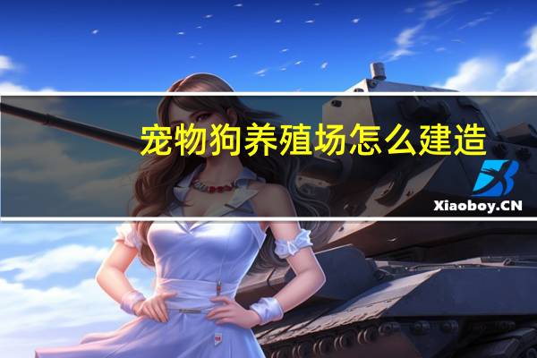 宠物狗养殖场怎么建造