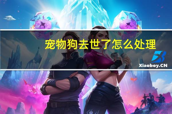 宠物狗去世了怎么处理