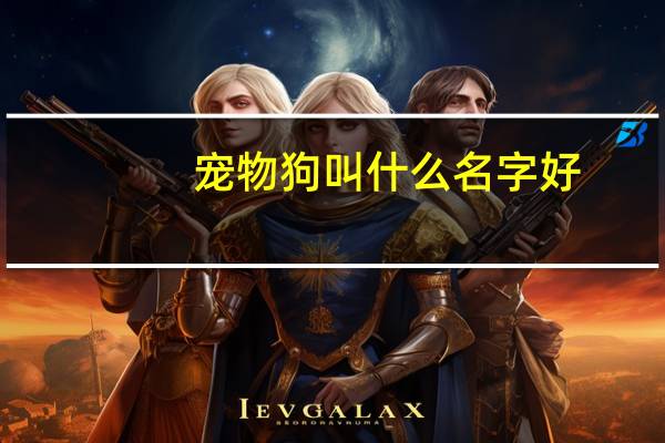 宠物狗叫什么名字好