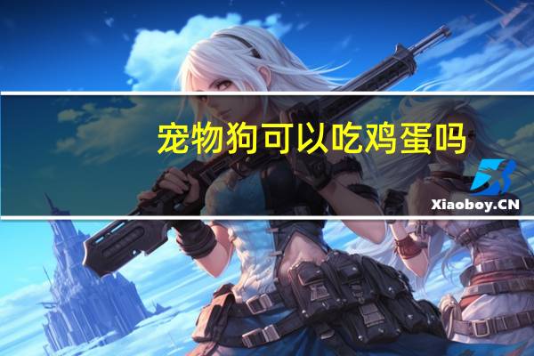 宠物狗可以吃鸡蛋吗