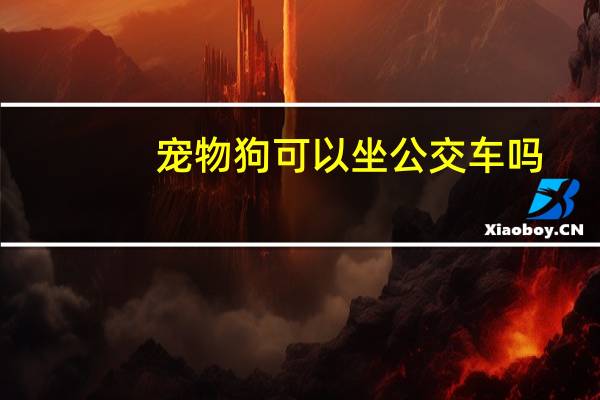 宠物狗可以坐公交车吗