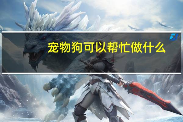 宠物狗可以帮忙做什么