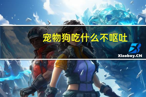 宠物狗吃什么不呕吐