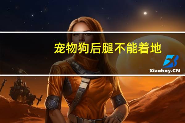 宠物狗后腿不能着地