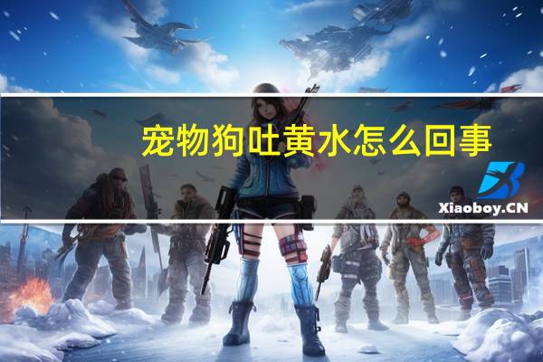宠物狗吐黄水怎么回事