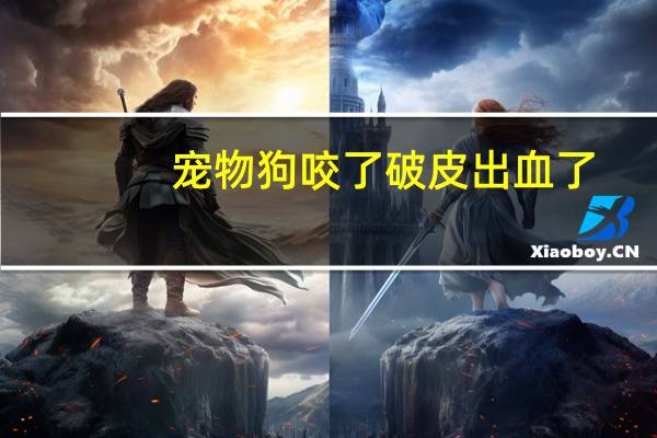 宠物狗咬了破皮出血了