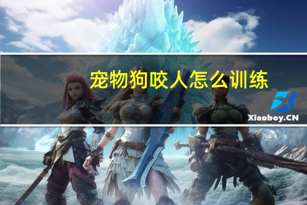 宠物狗咬人怎么训练