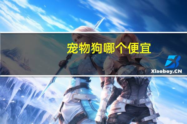 宠物狗哪个便宜