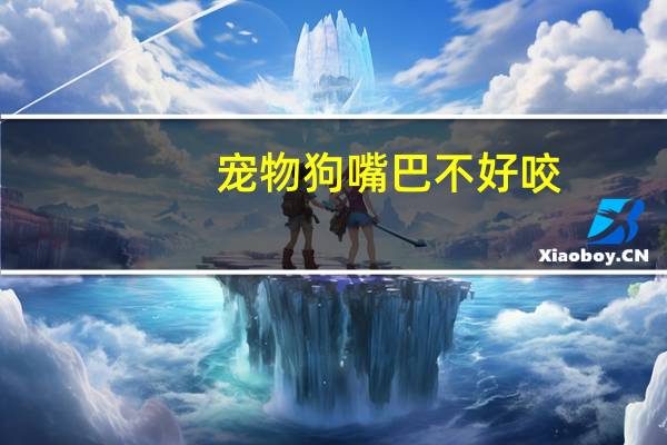 宠物狗嘴巴不好咬