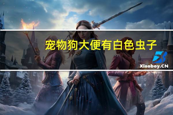 宠物狗大便有白色虫子
