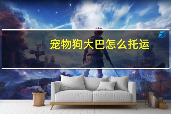 宠物狗大巴怎么托运