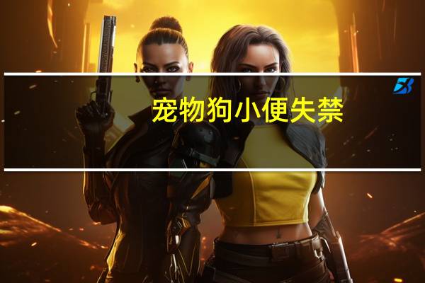 宠物狗小便失禁