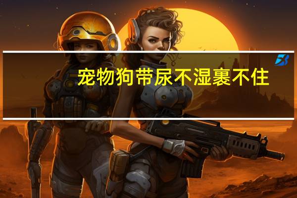 宠物狗带尿不湿裹不住
