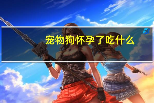宠物狗怀孕了吃什么