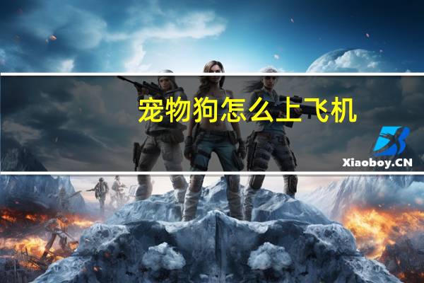 宠物狗怎么上飞机