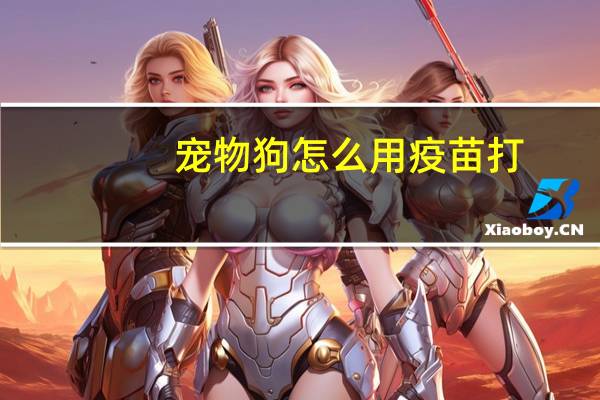 宠物狗怎么用疫苗打