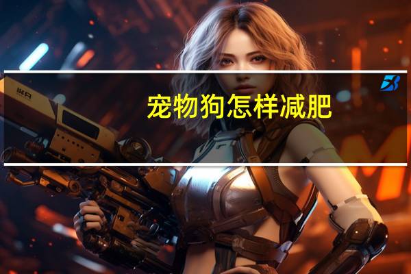 宠物狗怎样减肥