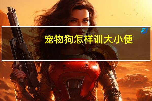 宠物狗怎样训大小便