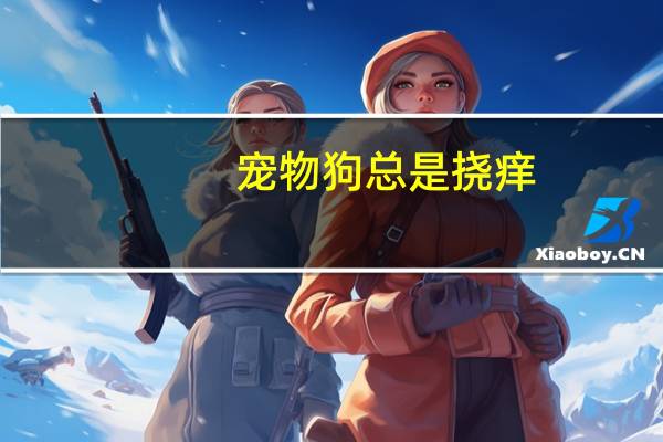 宠物狗总是挠痒