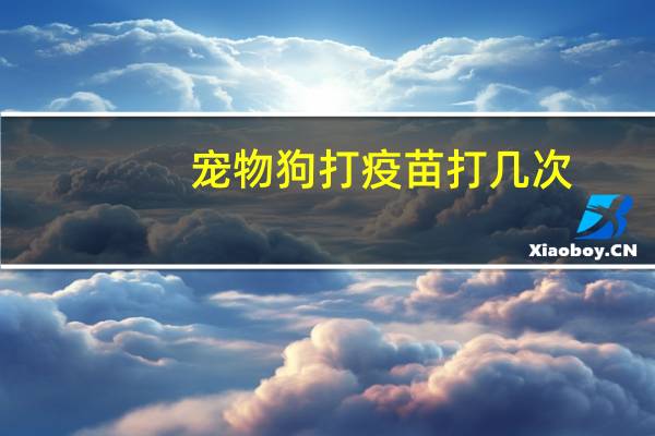 宠物狗打疫苗打几次