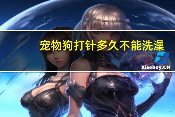 宠物狗打针多久不能洗澡
