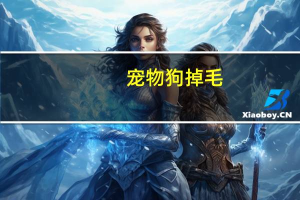 宠物狗掉毛