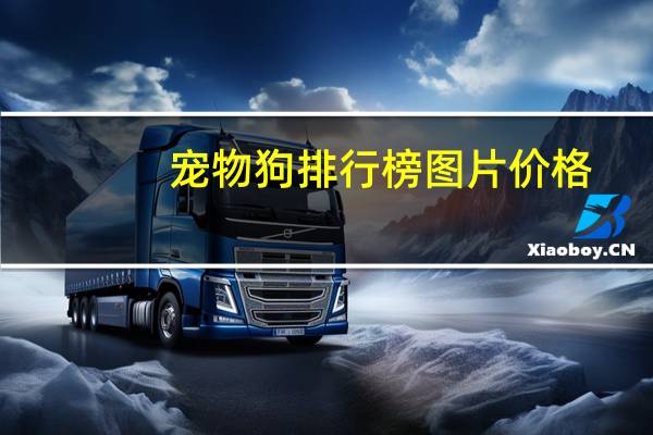 宠物狗排行榜图片价格